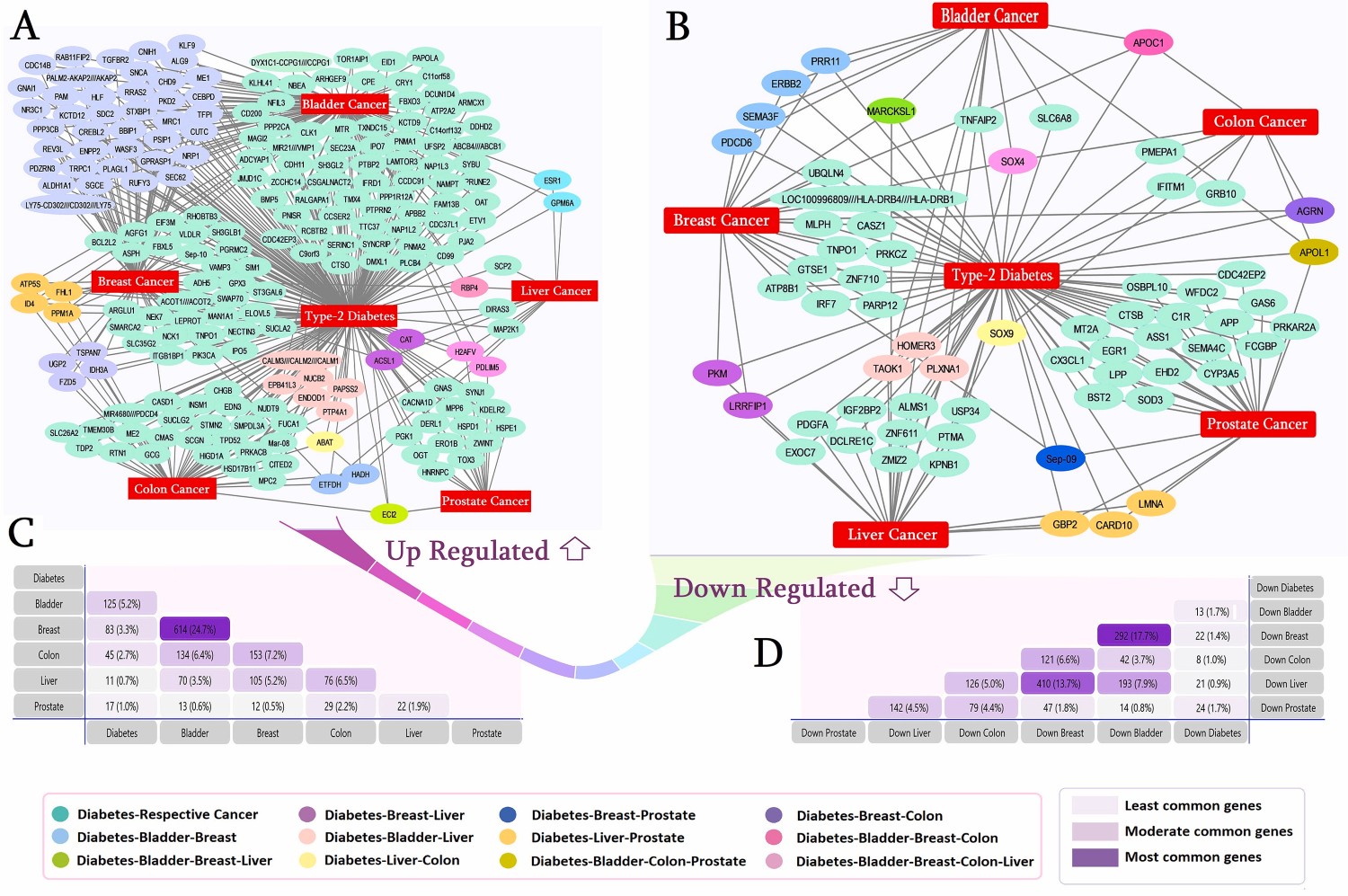 Disease-Gene network for dysregulated common genes
